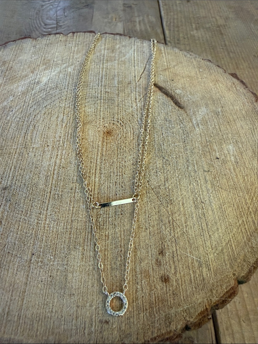 Layered Gold Bar and Pavé Circle Necklace for Women